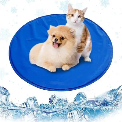 Produktbild von Famanu Kühlmatte für Haustiere - Selbstkühlende Matte für Hunde und Katzen (50 cm)