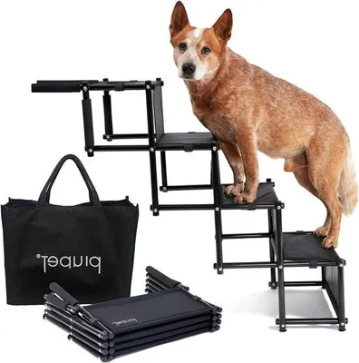 Immagine prodotto di Rampetta per cani, scaletta per cani, rampa per il bagagliaio per animali domestici, nera