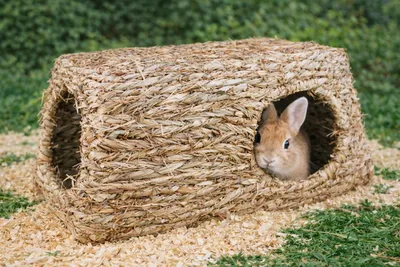 Immagine prodotto di XXL casa per roditori casa per fieno casa per erba 51x30x23cm
