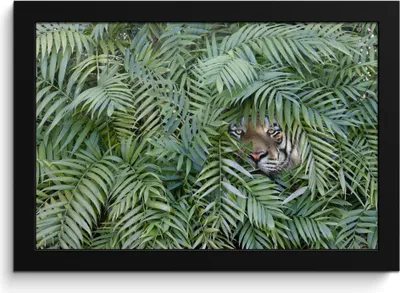 Produktbild von MuchoWow® MuchoWow® Gerahmtes Poster Tiger - Blätter - Farn 30x20 cm - Poster mit zchwarzem Bilderrahmen - Kunstdruck - Bild-Poster