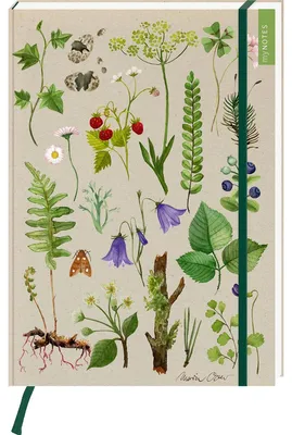 Produktbild von myNOTES Papeterie: Notizbuch A4 Naturschätze