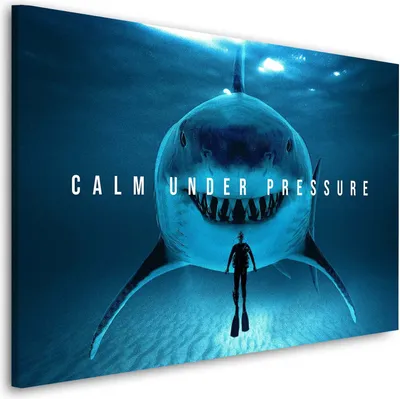 Produktbild von Motivation Mindset Hai Wandbild Leinwandbild Deko Kunst XL: 180x120x4cm