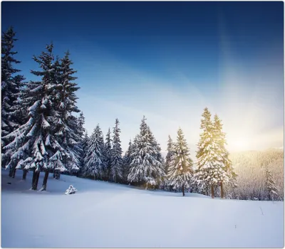 Produktbild von Spritzschutz Herdabdeckplatte Schneidebrett aus Glas Schnee im Sonnenuntergang 1-Teilig (60x52cm)