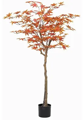 Immagine prodotto di Piante decorative con fiori rossi
