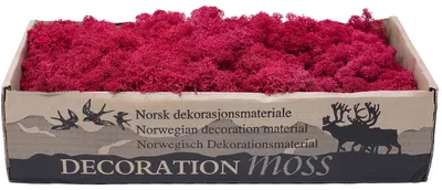 Zdjęcie produktu dla Karton Islandmoos, kolor: Crimson (purpurowy), waga: 500g
