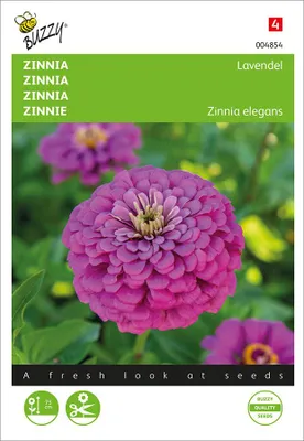 Artikelbild 2 von 'Zinnie Lavendel' aus der Kategorie Zinniensamen
