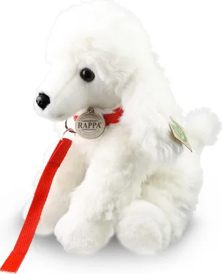 Immagine prodotto di Cagnolino di peluche a forma di barboncino con guinzaglio, 28 cm, ECO-FRIENDLY