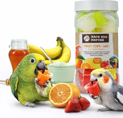 Zdjęcie produktu dla Galaretki dla papug Mix smaków 24 sztuki