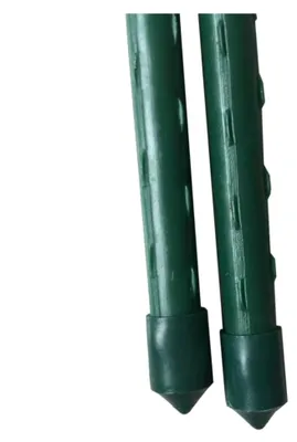 Produktbild von Pflanzstab 180 cm als Rankhilfe für Tomaten und andere Pflanzen