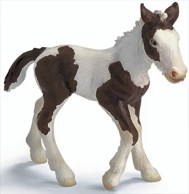 Produktbild von Schleich 13295 - Tinker Fohlen