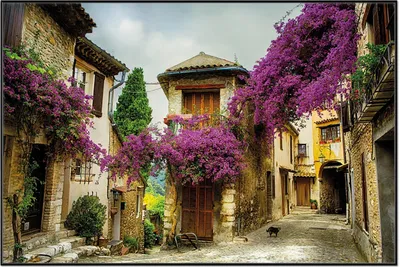 Produktbild von Wallario Wandbild Malerische Stadt in der Provence mit bunten Blumen, Größe: 61 x 91,50 cm, Poster mit schwarzem Aluminiumrahmen