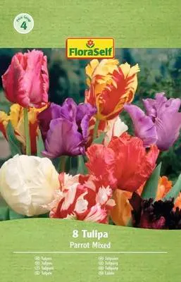 Obrázek produktu pro Tulipány FloraSelf 'Mix papouškovitých tulipánů' 8 ks