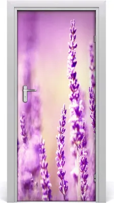 Produktbild von Tulup Türaufkleber 85x205 cm Dekorative Aufkleber Selbstklebend Wasserdichte Tapete Abnehmbar Schlafzimmer Wohnzimmer Wohnkultur - Lavendel Klebe