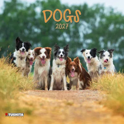 Obrázek produktu pro Psi 2027