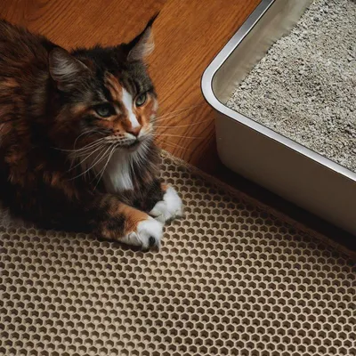 Produktbild von ® LOOMAT Auffangmatte für Katzenstreu | Rutschfester Katzenklo Vorleger | Zweilagige Katzenmatte für Katzentoiletten | Katzenstreu Matte | Hygienische Katzenklo Matte | Streumatte | Sand