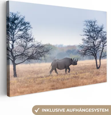 Obrázek produktu pro OneMillionCanvasses® - Obrazy na plátně - 140x90 cm, Nosorožec - Stromy - Tráva, Nástěnné umění tisk Nástěnná dekorace - Fotografie na plátně - Obraz na dřevěném rámu