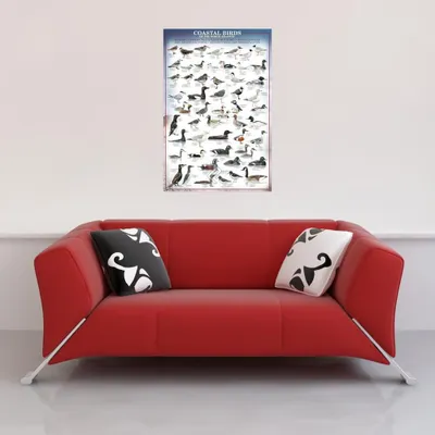 Image de Educational al Birds Oiseaux côtiers de l'Atlantique Nord Poster éducatif