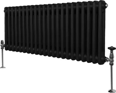 Zdjęcie produktu dla Tradycyjny grzejnik 2-kolumnowy - 300 x 1012 mm - Czarny