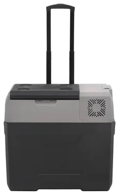 Produktbild von vidaXL Kühlbox mit Rollen und Griff Schwarz & Grau 40 L Polypropylen