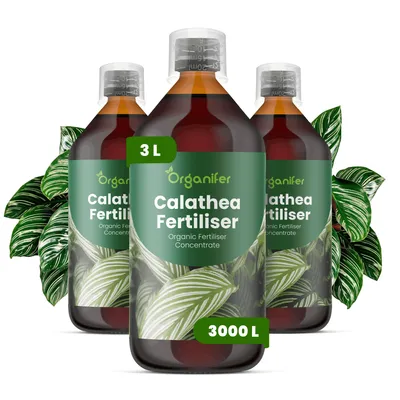 Obrázok produktu pre Calathea, tekuté hnojivo 3x 1 liter – vzťah živín NPK: 2-1-8 – pre izbové rastliny – pre zdravé listy a bohatú vegetáciu – podporuje rast koreňov a vitalitu – organické