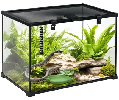 Produktbild von Terrarium für Reptilien Reptile Fütterungsbox Glasterrarium Amphibien, für Reptilienhaltung