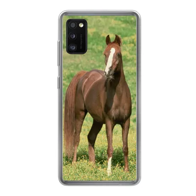 Produktbild von MuchoWow® Handyhülle Schutzhülle Hülle für Samsung Galaxy A41 Pferde - Gras - Braun Silikon Softcase Handy Hülle - Mobiltelefon