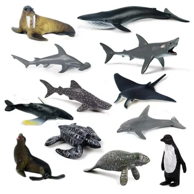 Image de Lot de 12 figurines d'animaux marins en plastique pour le bain, jouets éducatifs pour enfants