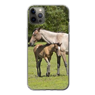 Produktbild von MuchoWow® Handyhülle Schutzhülle Hülle für iPhone 13 Pro Max Pferde - Gras - Schatten Silikon Softcase Handy Hülle - Mobiltelefon