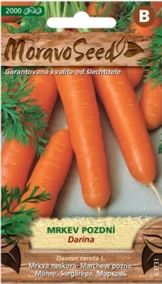 Immagine prodotto di Carote tardive Nohel Garden DARINA 63731