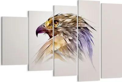Produktbild von Bild auf Leinwand - Leinwandbild - Adler Vogel Feder - 150x100cm - Wand Bild - Wanddeko - Leinwanddruck - Bilder - Kunstdruck - Wanddekoration - Leinwand bilder - Wandkunst - EG150x100-3936