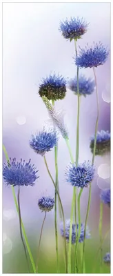Produktbild von Wallario Wandbild aus Acryl, 125 x 50 cm, freischwebende Optik - Abstrakte lila Blume