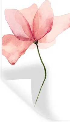 Produktbild von MuchoWow® Wandtattoo Wandsticker Wandaufkleber Blumen - Aquarell - Rosa 40x80 cm Selbstklebend und Repositionierbar - Repositionierbar - Wasser abweisend