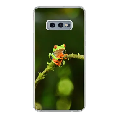 Produktbild von MuchoWow® Handyhülle Schutzhülle Hülle für Samsung Galaxy S10e Frosch - Äste - Grün Silikon Softcase Handy Hülle - Handy