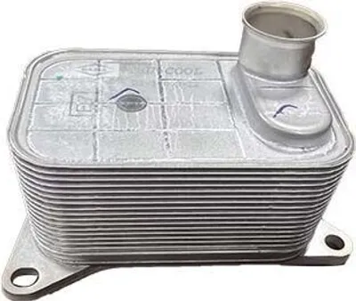 Produktbild von Borsehung B10877 Ölkühler Motoröl für VW Golf VII Schrägheck (5G1, BQ1, BE1, BE2) Polo Schrägheck (6R1, 6C1) Passat Variant (3G5, CB5) für AUDI