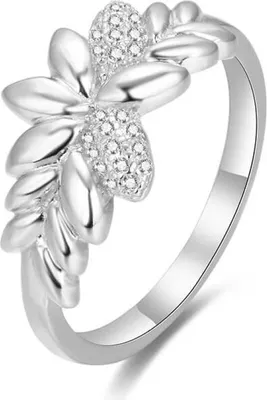 Immagine prodotto di Anello in argento con zirconi AGG347, 58 mm
