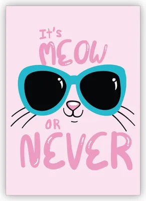 Produktbild von Lustige rosa Katzen Motto Grußkarte: It's meow or never