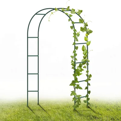 Produktbild von MIAJARD Rosenbogen Rankhilfe Kletterhilfe Metall Rosenspalier Torbogen 140 x 38 x 240 cm Grün