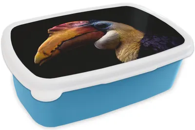 Produktbild von KitchenYeah® Lunchbox Brotzeit Brotdose 17x11 cm Vogel - Schnabel - Schwarz Kinder Brotzeitdose - Lunch - Kunststoff  - Brotbüchse - Sandwichbox - Lunchbox für Kinder