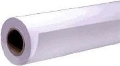 Immagine prodotto di Epson Premium, 16 pollici x 30.5m, 250g/m² carta fotografica Bianco