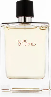 Obrázek produktu pro Hermès Terre D'Hermès EDT 100 ml M