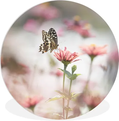 Produktbild von MuchoWow® Rundes Wandbild - Runde Bilder Schmetterling - Blume - Rosa Ø 60 cm Kreis Wanddekoration Kunststoff - Wandkreis - Wandschmuck - Wand Kreis - Das Schlafzimmer - Die Bilder - Wandmalerei - Kunst für das Haus - das Plastik