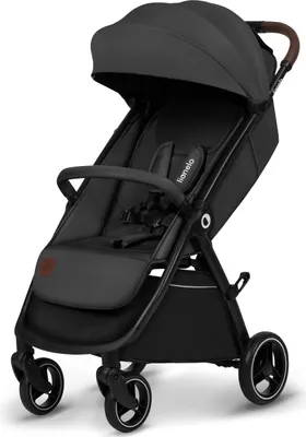 Produktbild von Lionelo Kinder-Buggy Ingrid bis 22 kg von 6 Monaten bis 4 Jahren Große 360° schwenkbare Räder - Grau