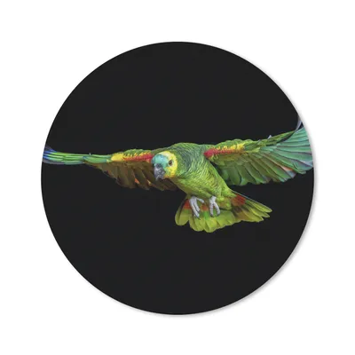 Produktbild von MuchoWow® Mauspad Mousepad Papagei - Vogel - Federn 40x40 cm - Mousepads - Maus Mat - Pad - Mausunterlage - Schreibtisch Accessoires