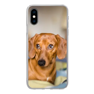 Produktbild von MuchoWow® Handyhülle Schutzhülle Hülle für iPhone X Dackel liegend auf einem Bett Silikon Softcase Handy Hülle - Handyhülle
