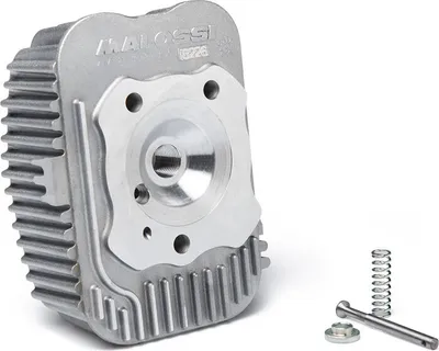 Imagen del producto de Culata Malossi D 47, diseño simétrico, compatible con los modelos 3118052, 3118581 y 3118570