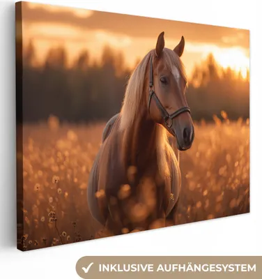 Produktbild von MuchoWow® - Leinwandbilder - Pferd - Natur - Tier - Braun - Tierporträt, Wandbild, Wanddeko Bilder Wohnzimmer, 80x60cm