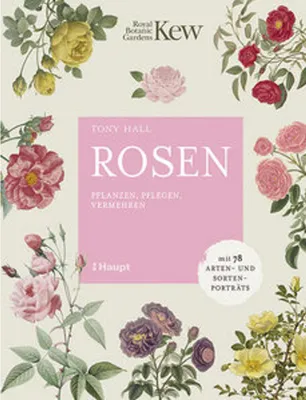 Image de Rosen
