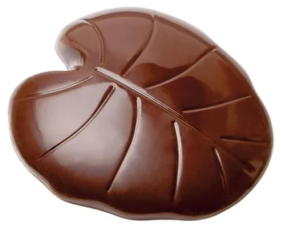 Immagine prodotto di Stampo per cioccolato - Foglia, doppio stampo