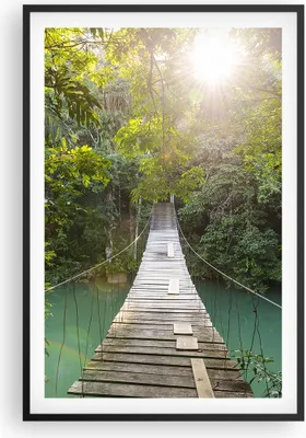 Produktbild von Gerahmtes Poster - Schwarzer Rahmen - Brücke Seil Dschungel - 61x91,5 cm - Wand Bild - Wanddeko - Wandbilder - Kunstposter - Wandposter - Bilderrahmen - Bilder - Kunstdruck - P2BPA61x91-4397