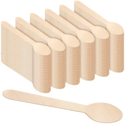 600 Einweg-Holzlöffel, 16 cm, Dessertlöffel für Partys